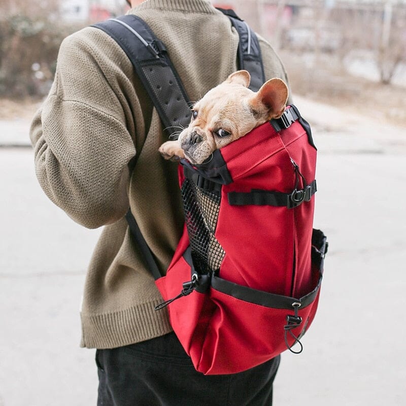 French Bulldog Backpack The Store Bags