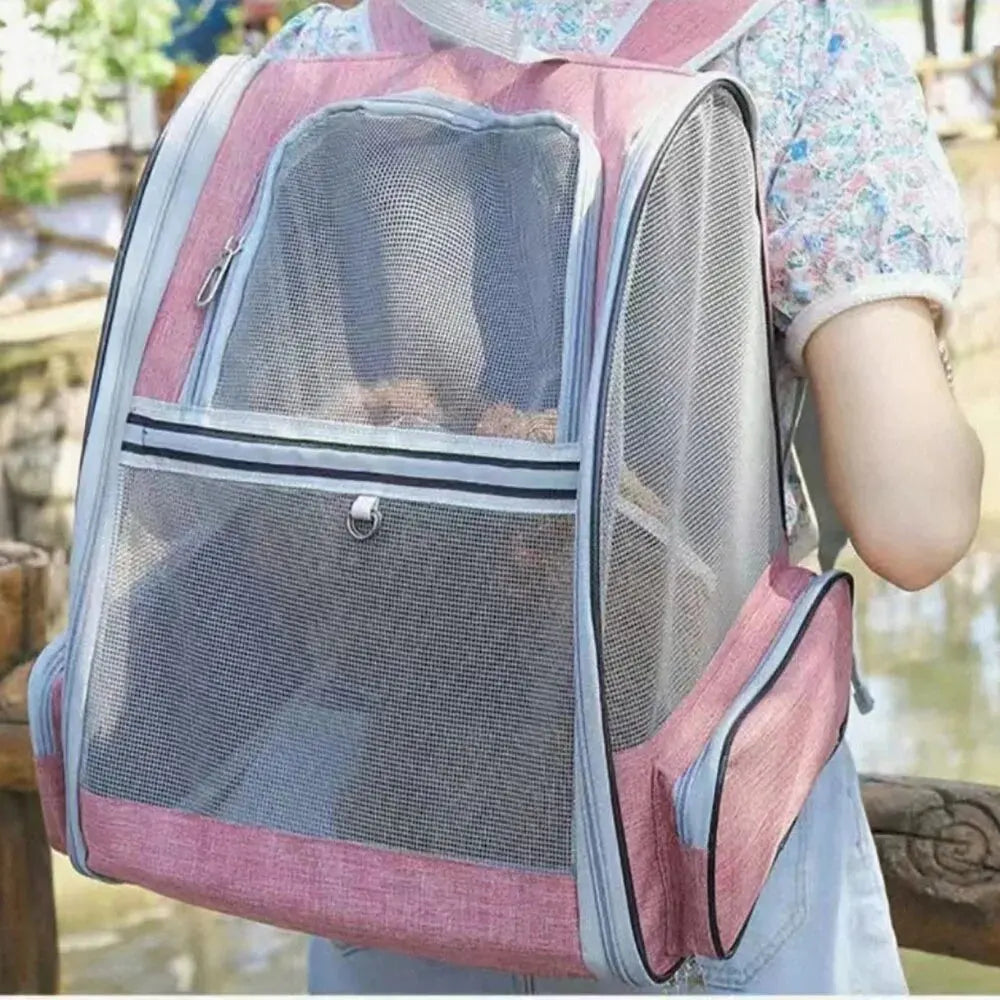 Clear Backpack Cat The Store Bags