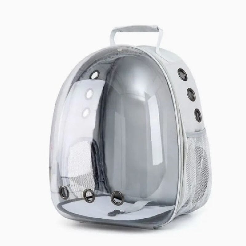 Cat Clear Backpack The Store Bags Gray