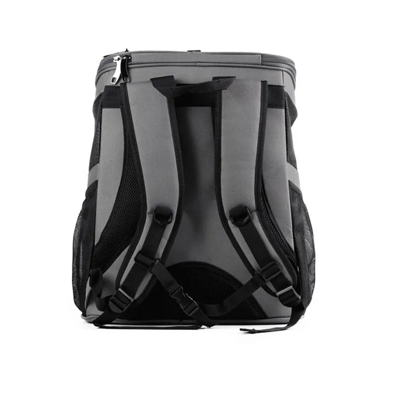 Cat Carrier Backpack Clear The Store Bags
