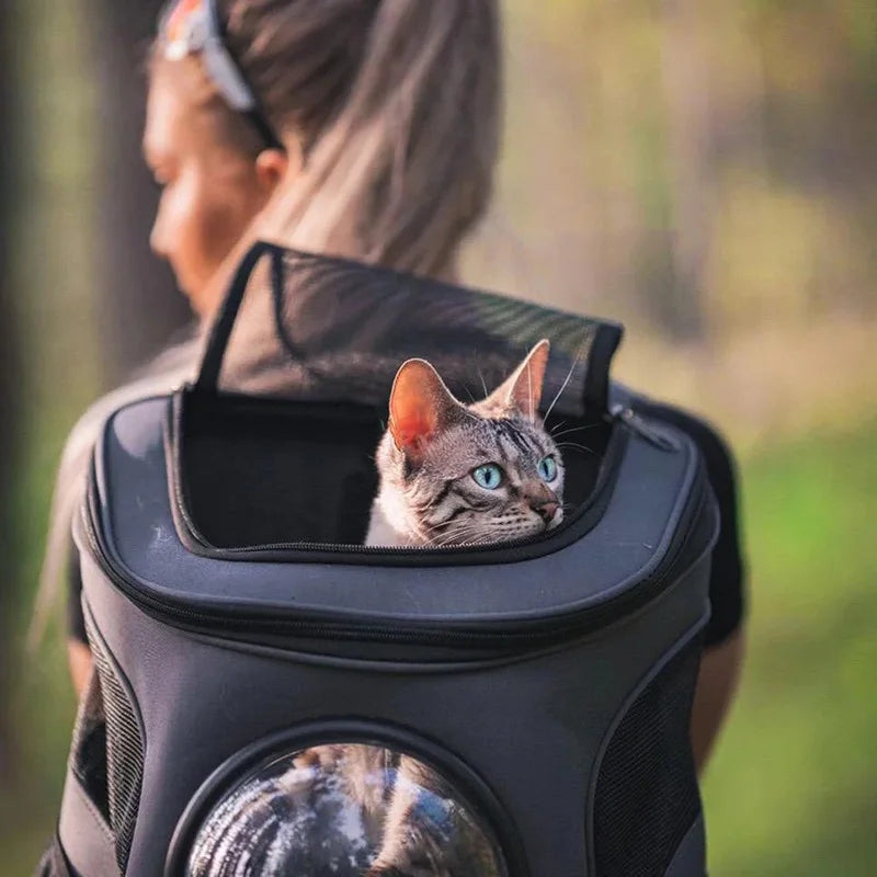 Cat Carrier Backpack Clear The Store Bags