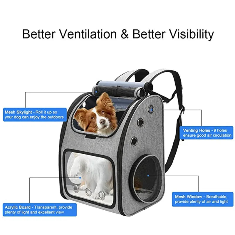 Large Collapsible Pet Carrier The Store Bags