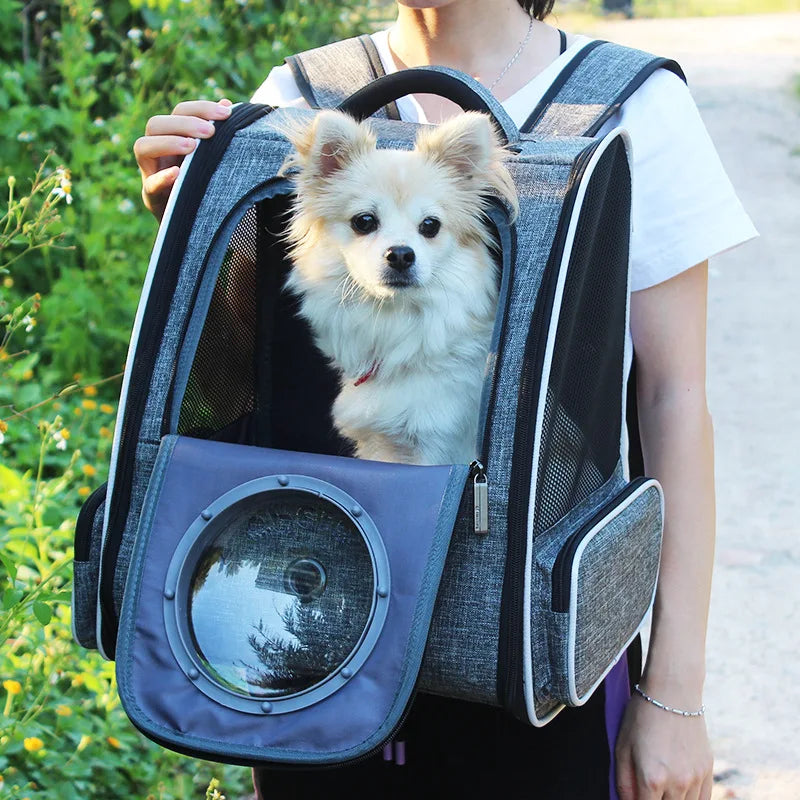 Clear Bubble Backpack for Cats The Store Bags