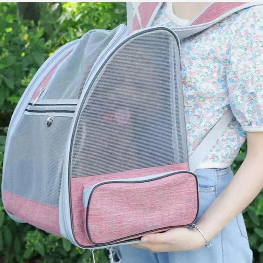 Clear Backpack Cat The Store Bags