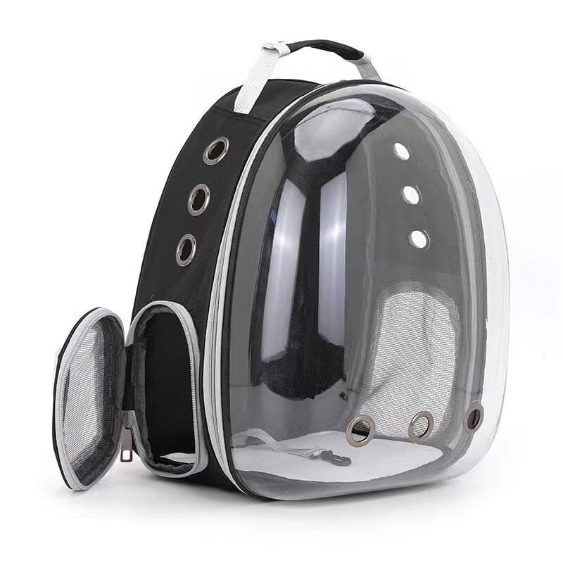 Cat Clear Backpack The Store Bags