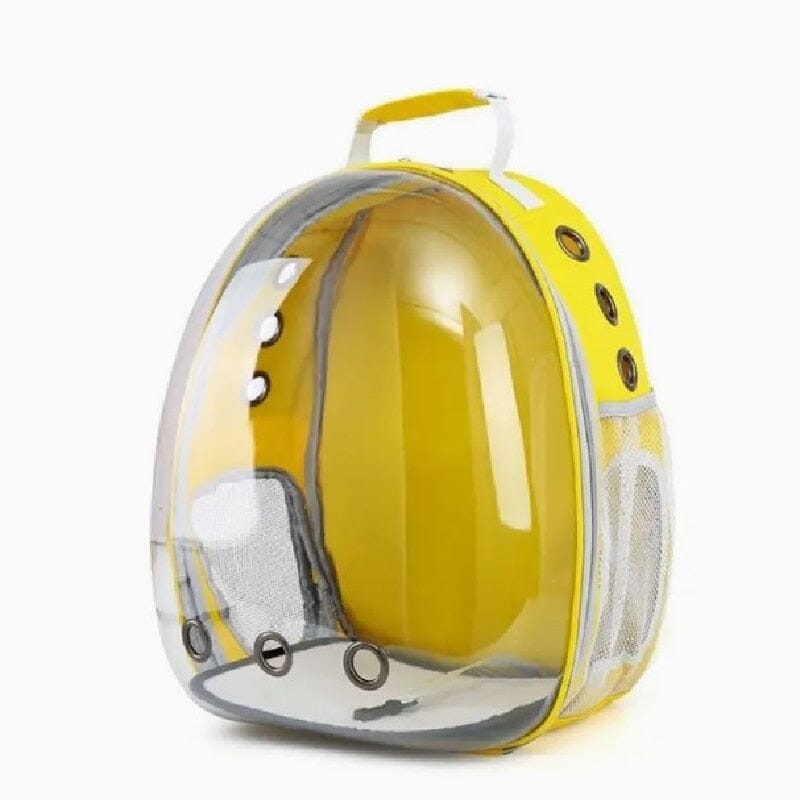 Cat Clear Backpack The Store Bags Yellow