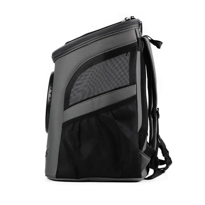 Cat Carrier Backpack Clear The Store Bags