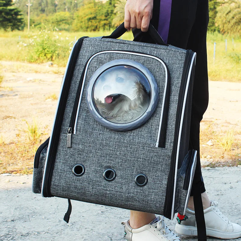 Clear Bubble Backpack for Cats The Store Bags