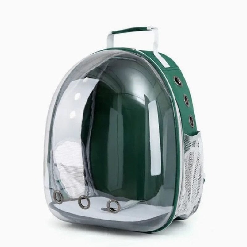 Cat Clear Backpack The Store Bags Green
