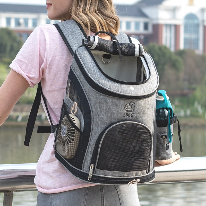 Large Window Pet Carrier Backpack The Store Bags