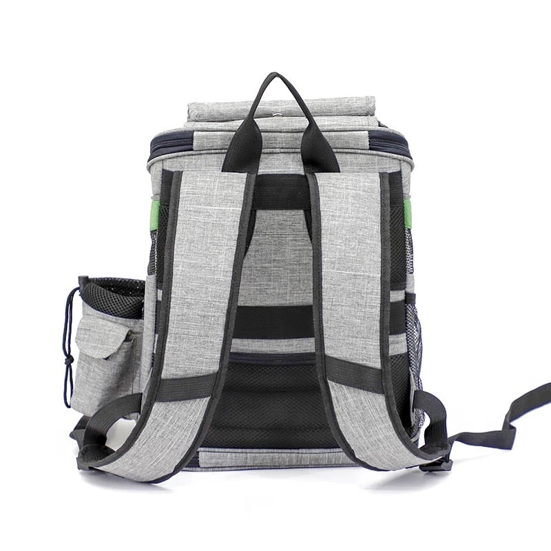 Large Window Pet Carrier Backpack The Store Bags