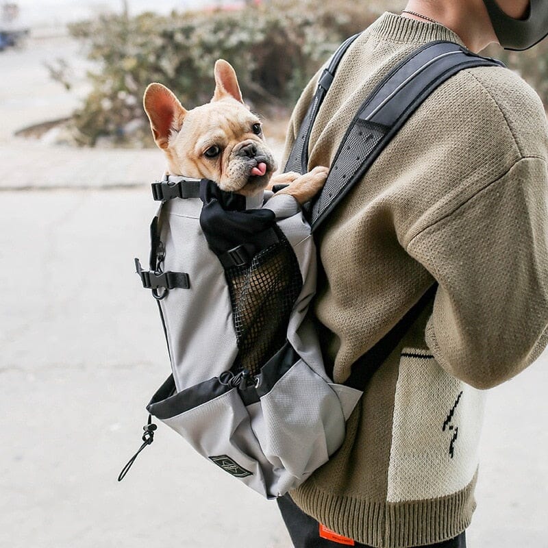 French Bulldog Backpack The Store Bags