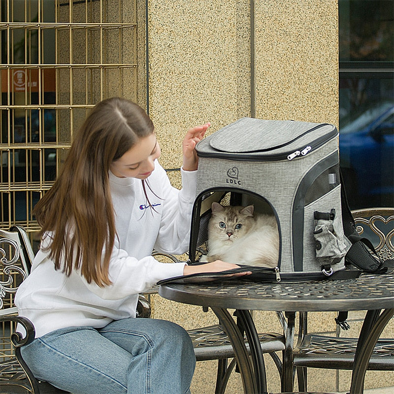 Large Window Pet Carrier Backpack The Store Bags