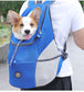 Pet Carrier With Window The Store Bags 