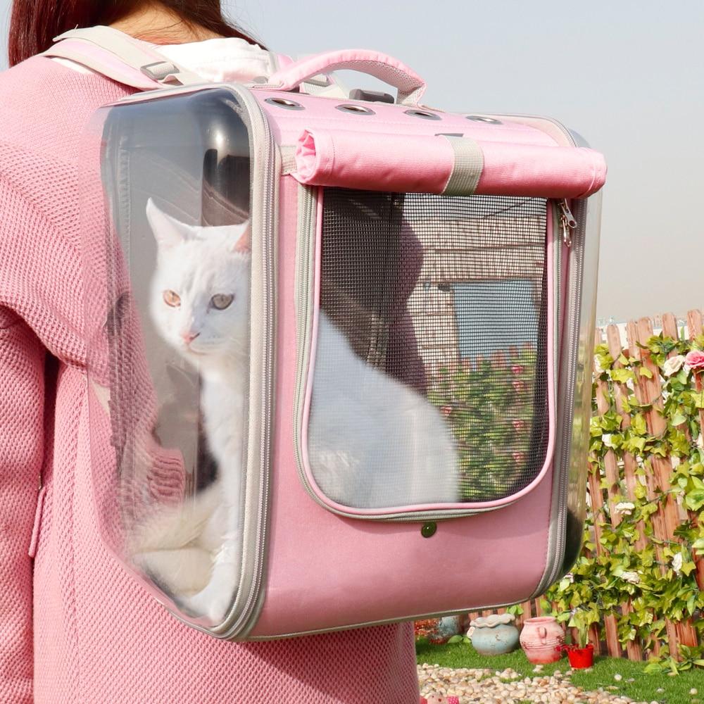 Window cat adventure backpack The Store Bags