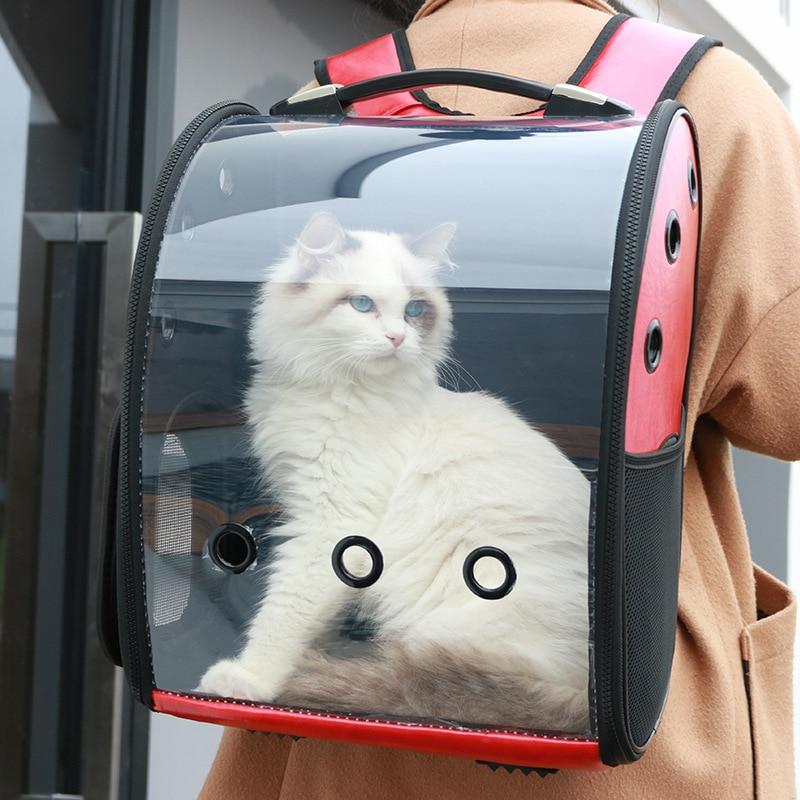 Transparent Pet Backpack The Store Bags