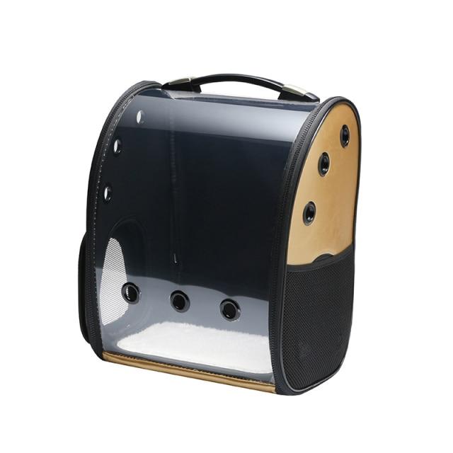 Transparent Pet Backpack The Store Bags Gold