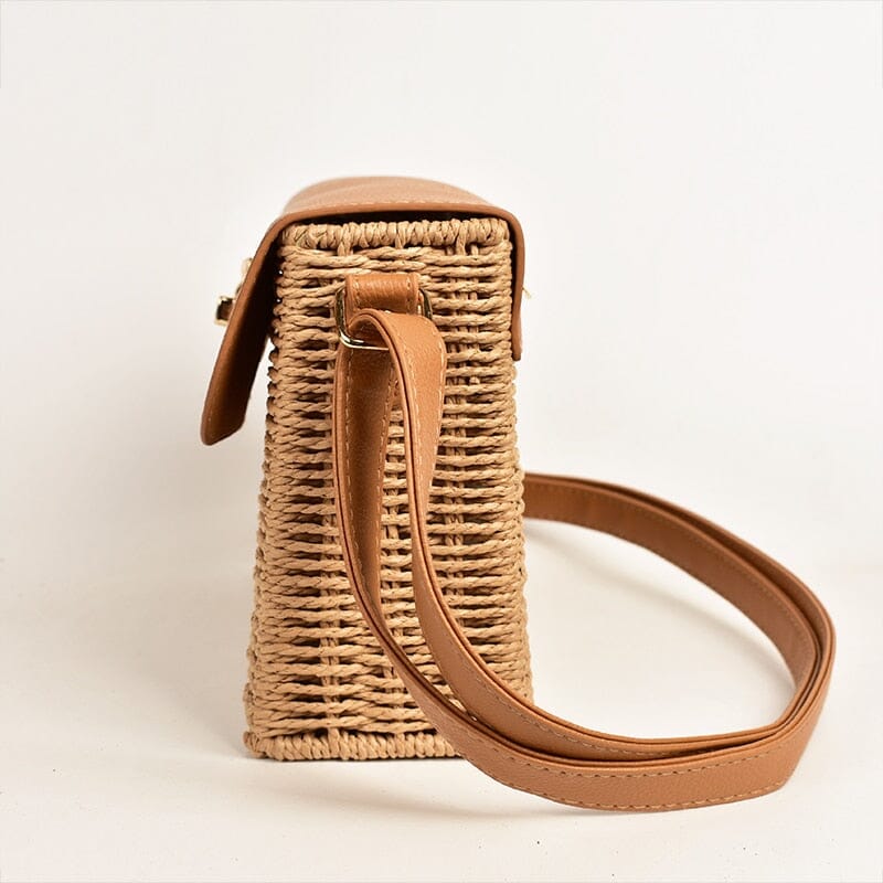 Straw Leather Crossbody Bag The Store Bags 
