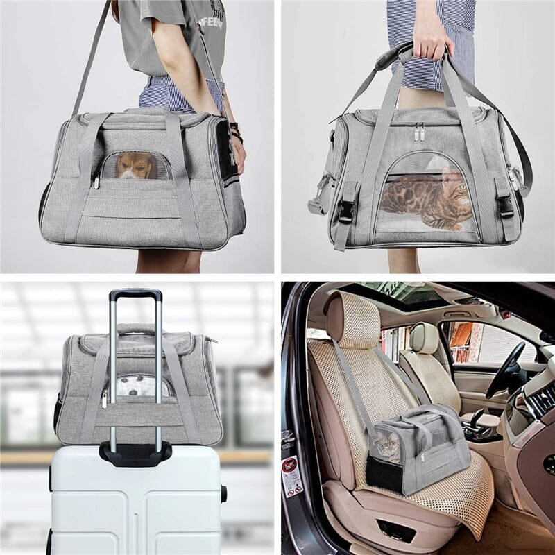 Chihuahua Travel Carrier The Store Bags 
