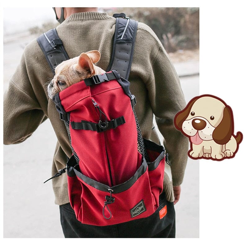 Pet Carrier Backpack For Hiking The Store Bags 