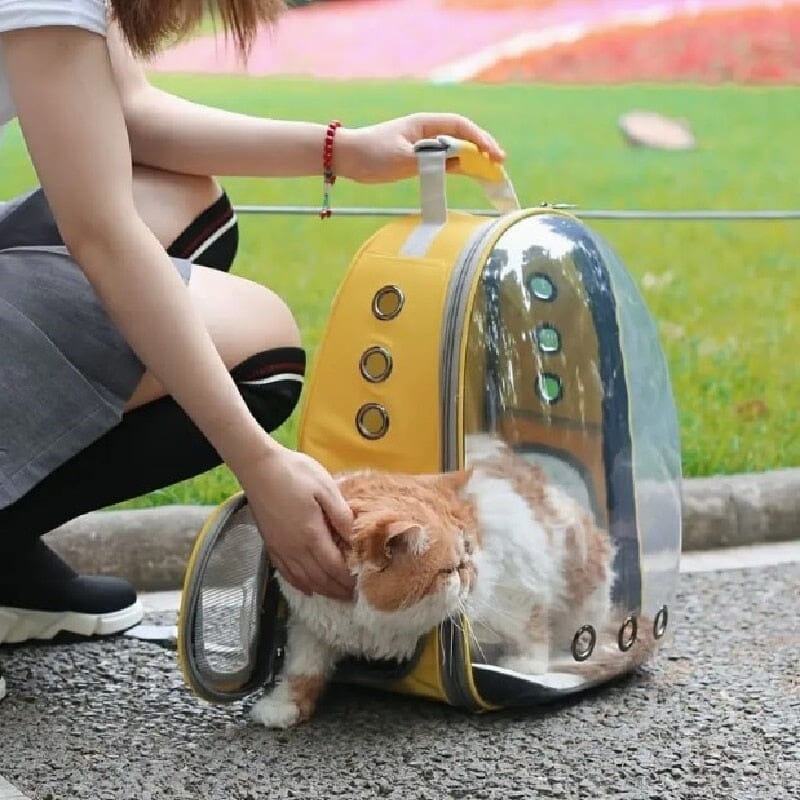 Backpacks Transparent Cats  Cat Carrier Bag Backpack