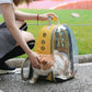 Cat Clear Backpack The Store Bags 