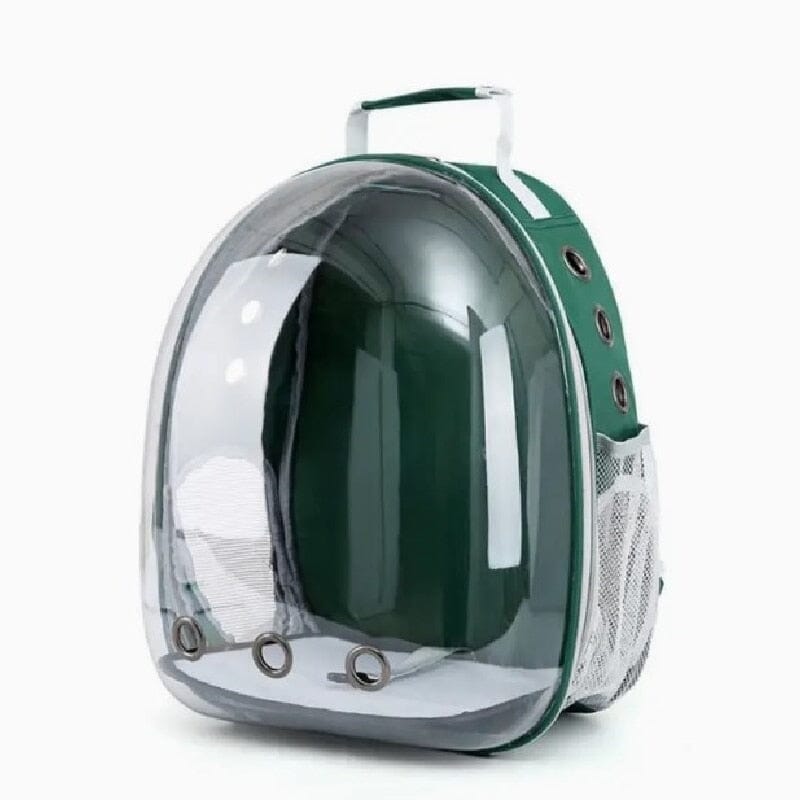 Cat Clear Backpack The Store Bags Green 