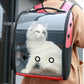 Transparent Pet Backpack The Store Bags 